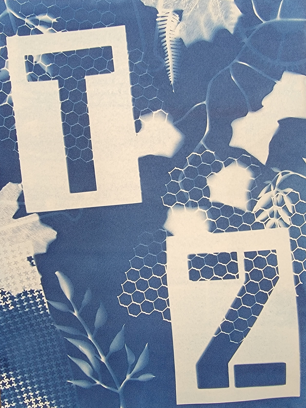 Cyanotype Photographic Prints inspired by Anna Atkins